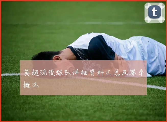 英超现役球队详细资料汇总及赛季概况