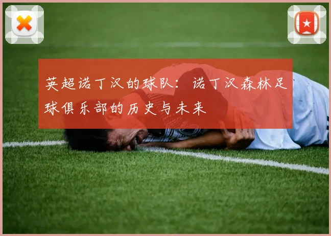 英超诺丁汉的球队：诺丁汉森林足球俱乐部的历史与未来