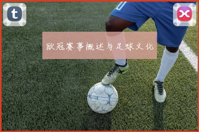欧冠赛事概述与足球文化
