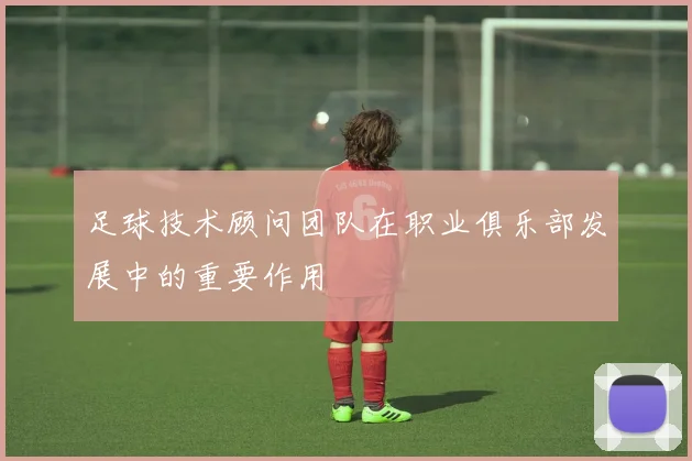 足球技术顾问团队在职业俱乐部发展中的重要作用